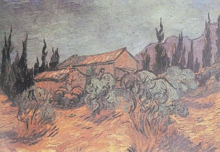 Vincent Van Gogh Huts surrounded by olive trees and cypresses